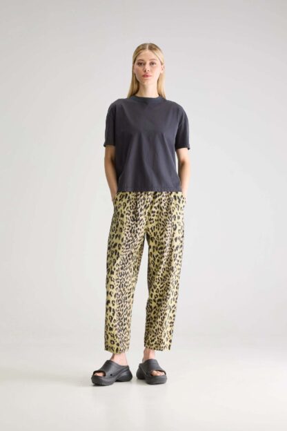 Bellerose WESLY